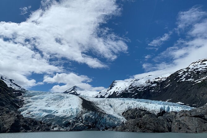 Valley of Glaciers Experience with Portage Glacier Cruise and Wildlife Tour - Alaska Wildlife Conservation Center: guided mammals, not just a scenic drive