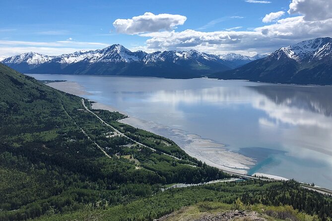 Whittier to Anchorage Cruise Transfer and Private Tour - Key things that make this day work