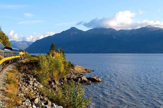 Whittier to Anchorage Cruise Transfer and Private Tour - Price and value: paying per group (not per person) for fewer headaches