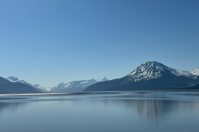 Whittier to Anchorage Cruise Transfer and Private Tour - Beluga Point and whale season: what to expect in 15 minutes