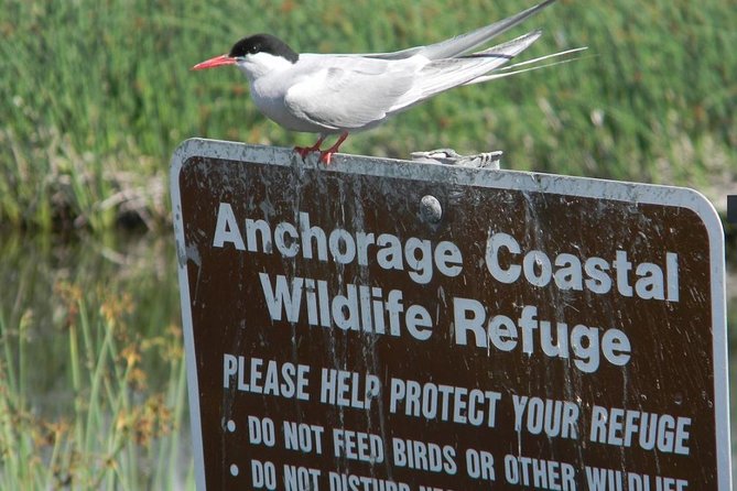 Whittier to Anchorage Cruise Transfer and Private Tour - Timing that fits the day you actually have