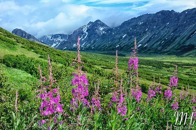 Whittier to Anchorage Half Day Transit Tour From the Port - Alaska Wild Berry Products: The Chocolate Waterfall Show