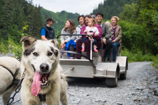 Wilderness Dog Sled Ride and Tour in Seward - Key points I’d plan around