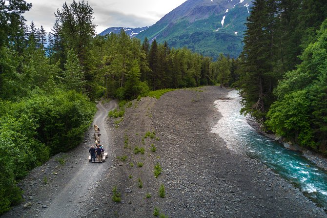 Wilderness Dog Sled Ride and Tour in Seward - From Pickup to Kennels: What Happens Before You Touch the Sled Team