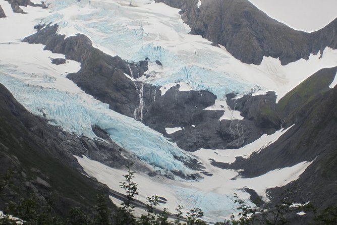 Wildlife and Glaciers with a walk in the Rainforest - Portage Glacier Road: glacier views, plus a rainforest walk that stays short