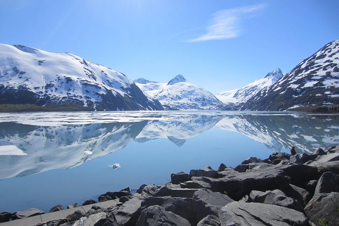 Wildlife and Glaciers with a walk in the Rainforest - Rainforest and glacier weather: why conditions can make or break the day