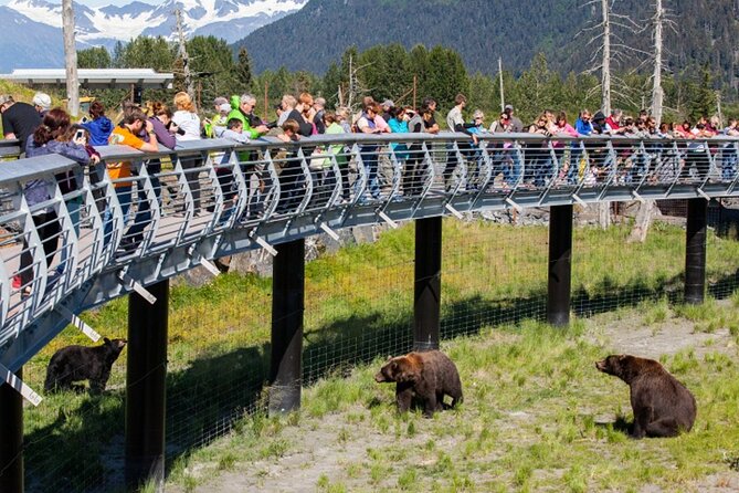Wildlife Conservation Center and Portage Glacier Lake Viewing - Turnagain Arm Drive: the scenic warm-up that sets expectations