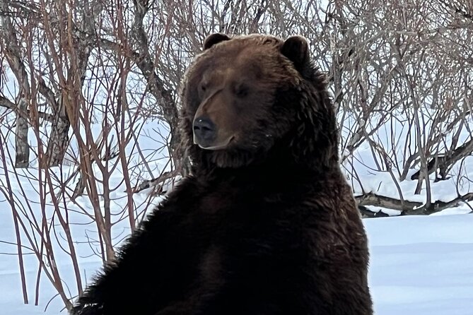 Wildlife Conservation Center and Portage Glacier Lake Viewing - Timing, tickets, and what to bring so you’re not caught off guard