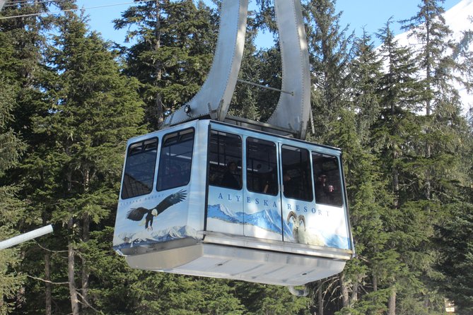 Winter - Alaska Wildlife Center with Alyeska Tram - Key things I’d plan around