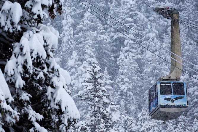 Winter - Alaska Wildlife Center with Alyeska Tram - Winter Anchorage to Portage Valley: what the day feels like