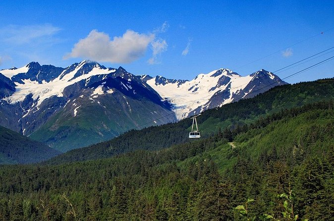 Winter - Alaska Wildlife Center with Alyeska Tram - The Turnagain Arm drive and onboard commentary