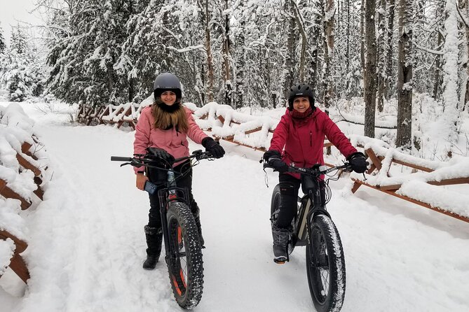 Winter Fat Biking Anchorage Tour - Stop structure: what you’ll do in the Anchorage segment