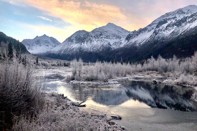 Winter Valley and Forest Hike - Key Highlights Worth Your Winter Energy