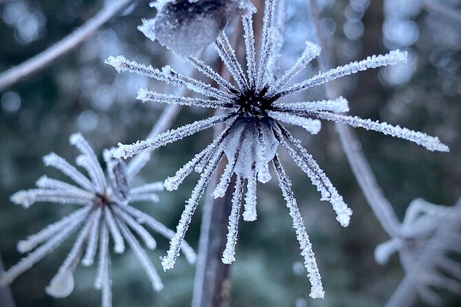 Winter Valley and Forest Hike - Where the Hike Starts: Eagle River Nature Center in Winter