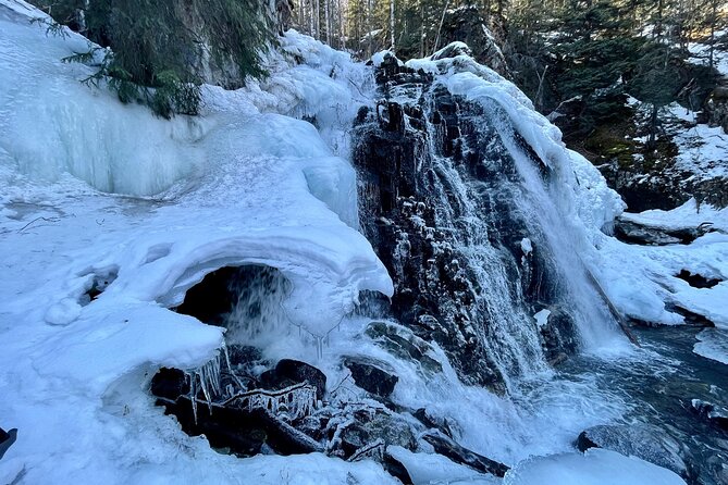Winter Valley and Forest Hike - Walking Time, Terrain Reality, and Knee-Smart Tips