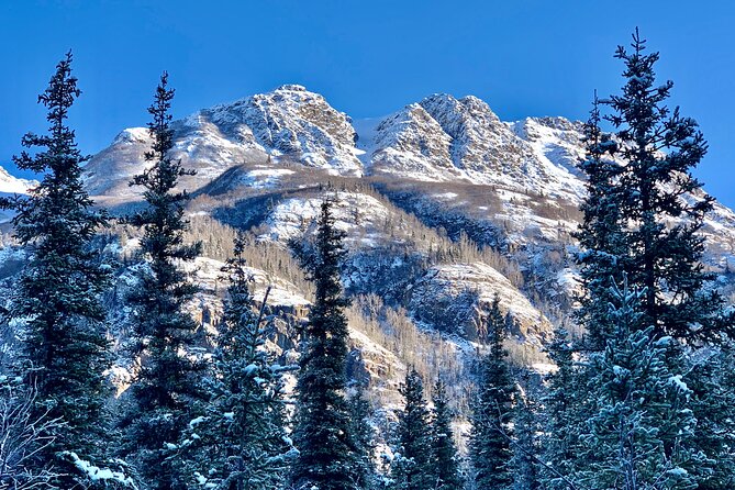 Winter Valley and Forest Hike - Gear You Get vs Gear You Bring (Don’t Guess)